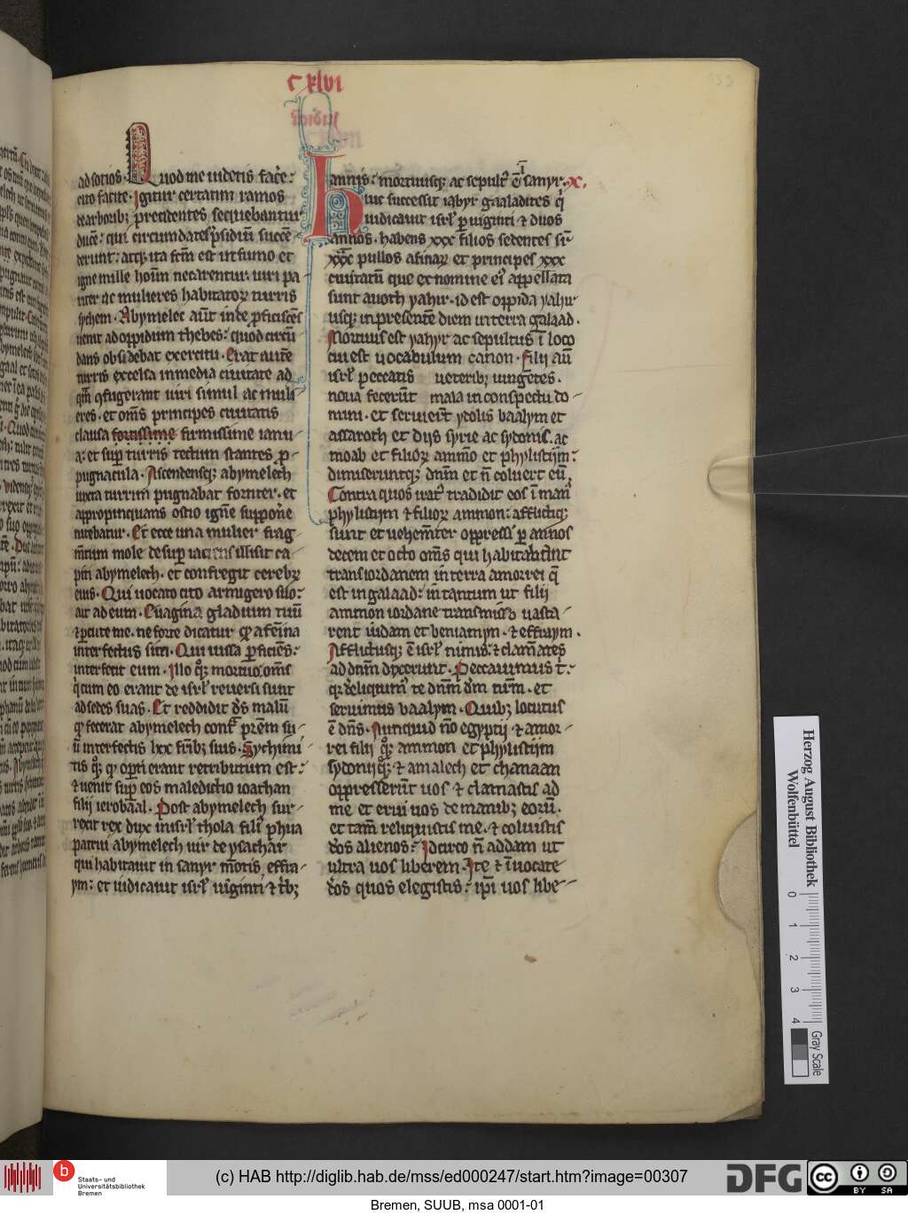 http://diglib.hab.de/mss/ed000247/00307.jpg