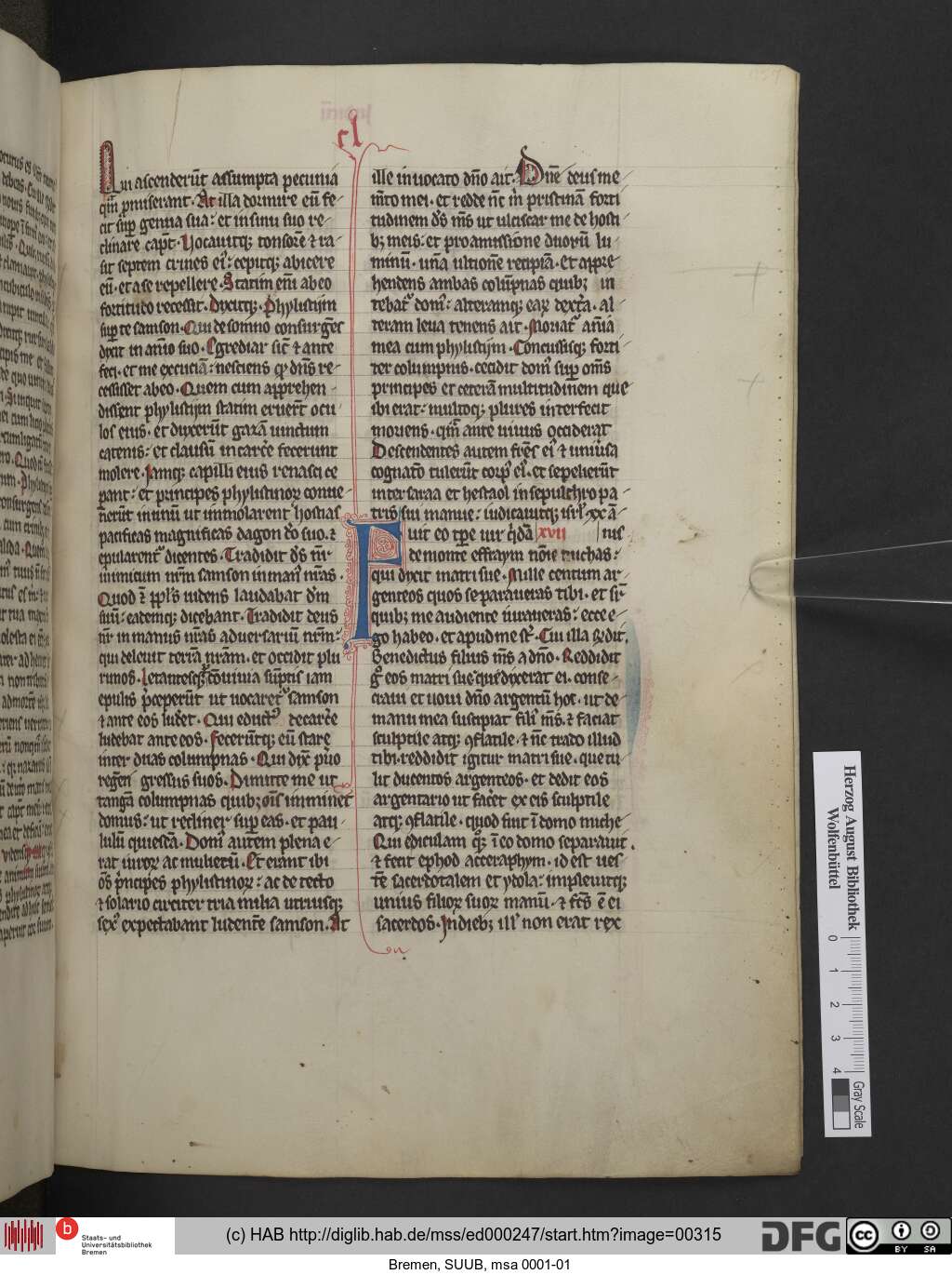 http://diglib.hab.de/mss/ed000247/00315.jpg