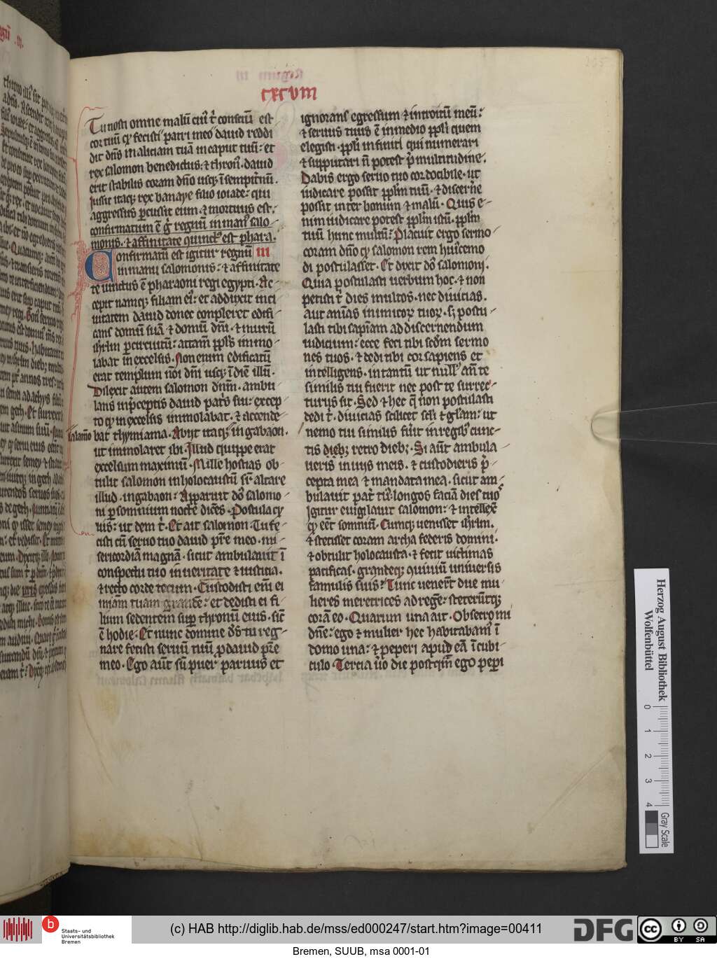 http://diglib.hab.de/mss/ed000247/00411.jpg