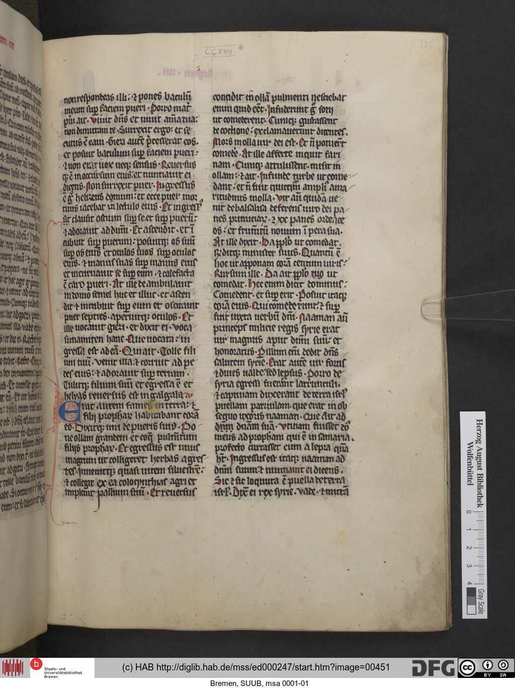 http://diglib.hab.de/mss/ed000247/00451.jpg