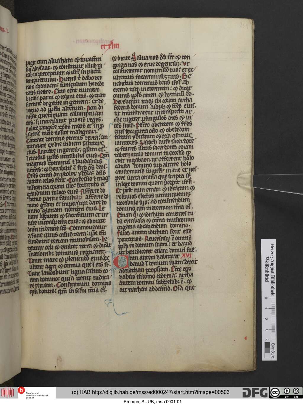 http://diglib.hab.de/mss/ed000247/00503.jpg