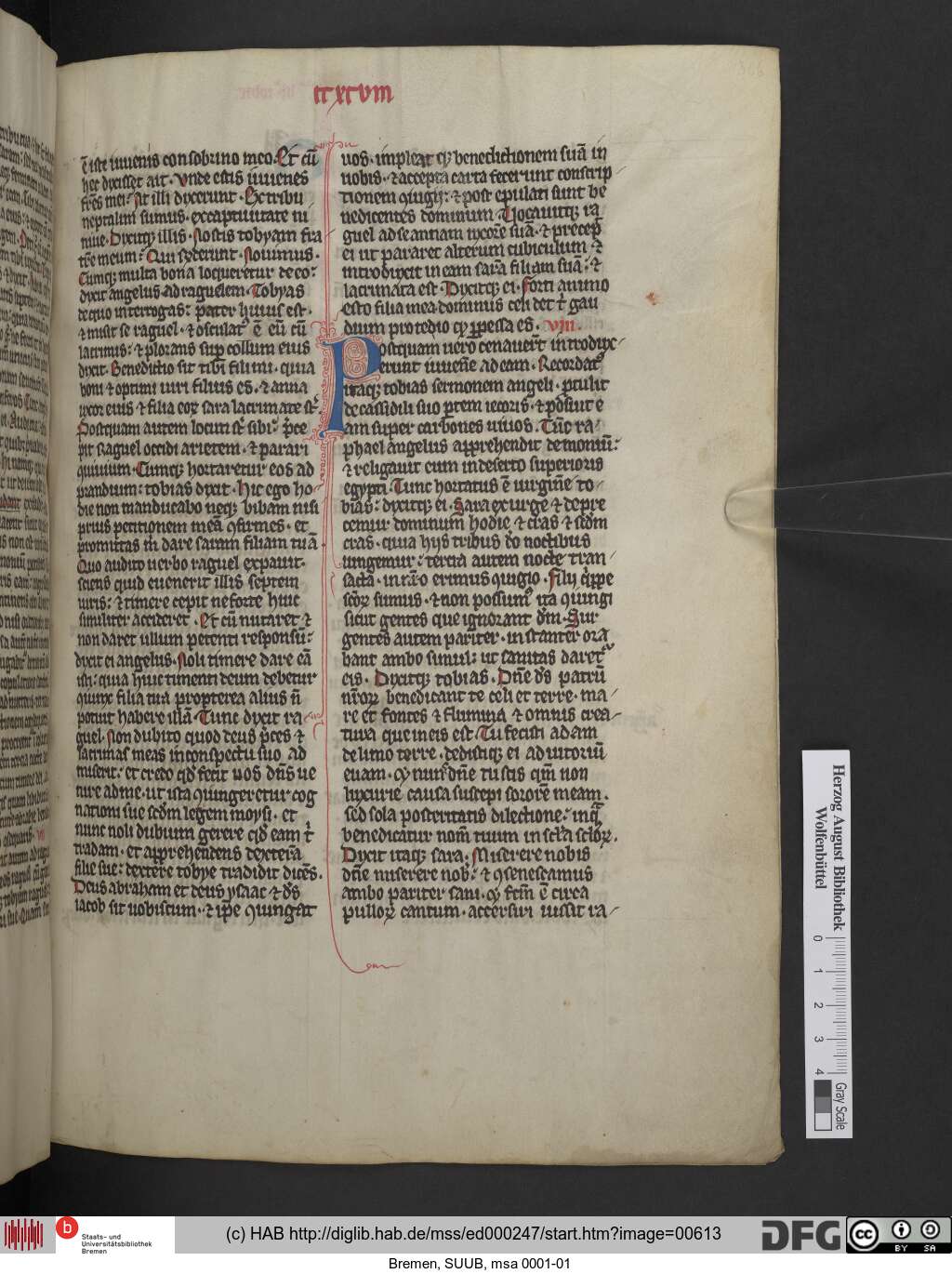 http://diglib.hab.de/mss/ed000247/00613.jpg