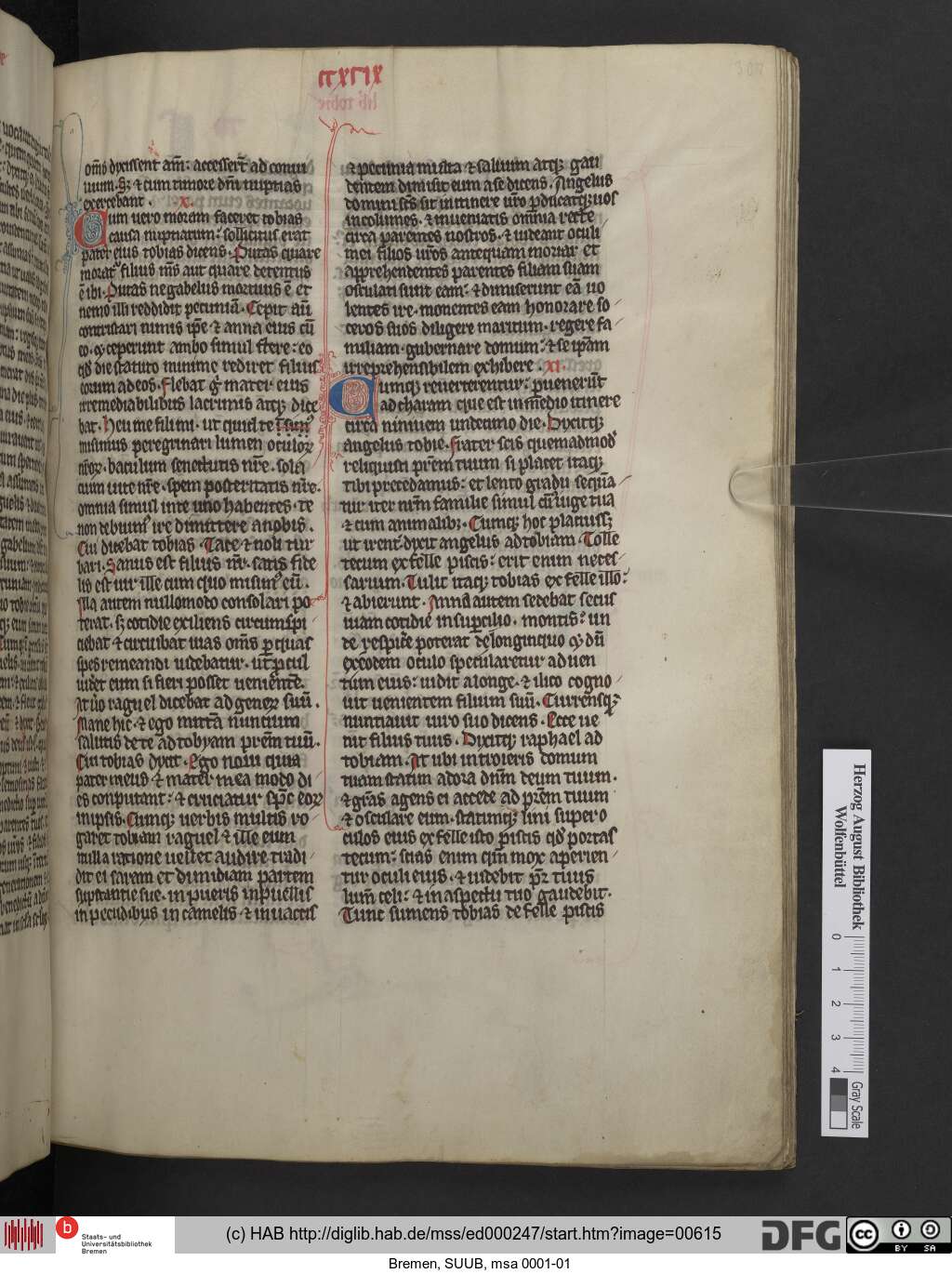 http://diglib.hab.de/mss/ed000247/00615.jpg