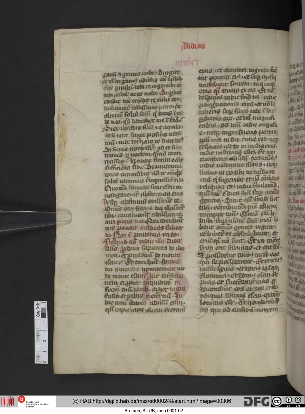 http://diglib.hab.de/mss/ed000248/00306.jpg