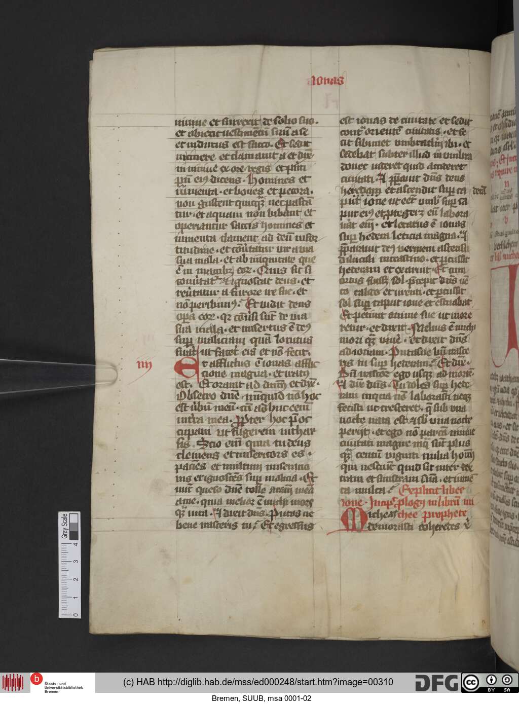 http://diglib.hab.de/mss/ed000248/00310.jpg