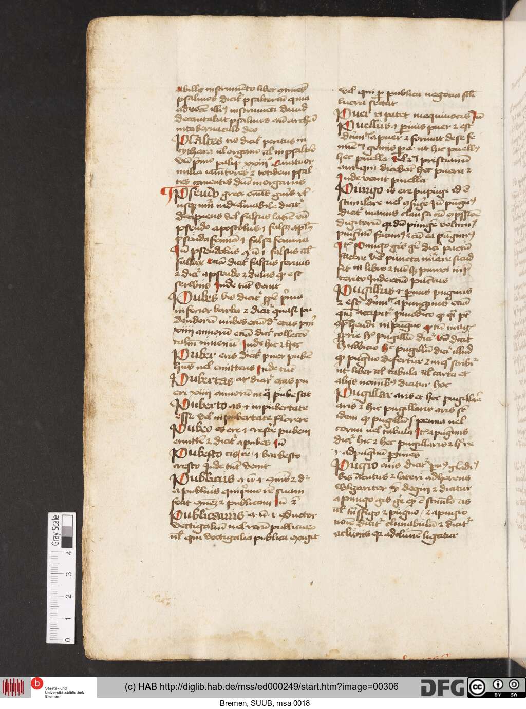 http://diglib.hab.de/mss/ed000249/00306.jpg