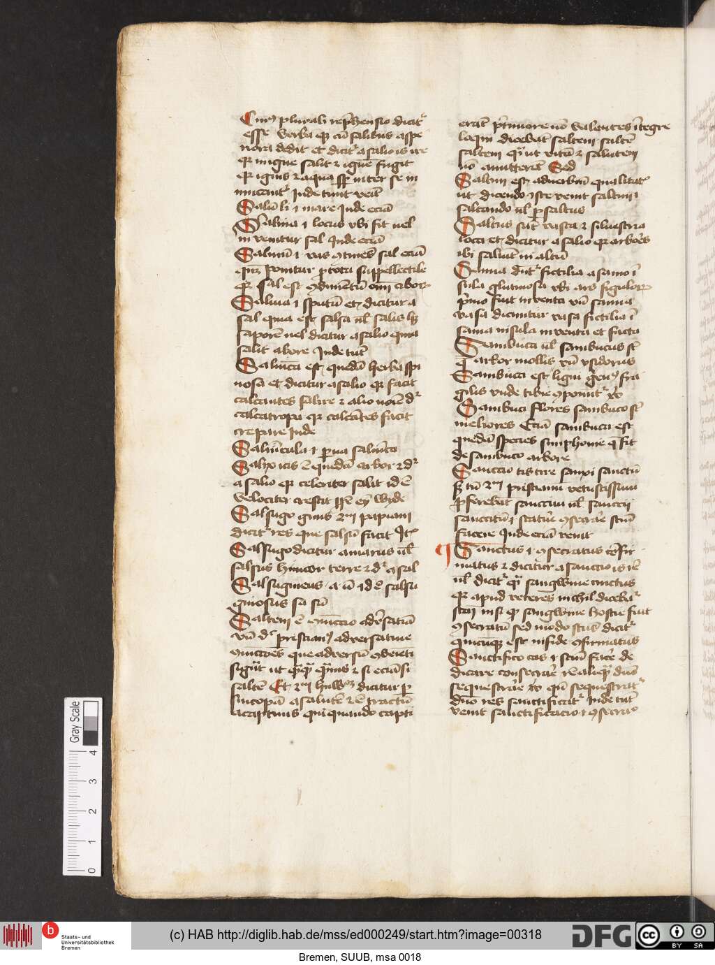 http://diglib.hab.de/mss/ed000249/00318.jpg