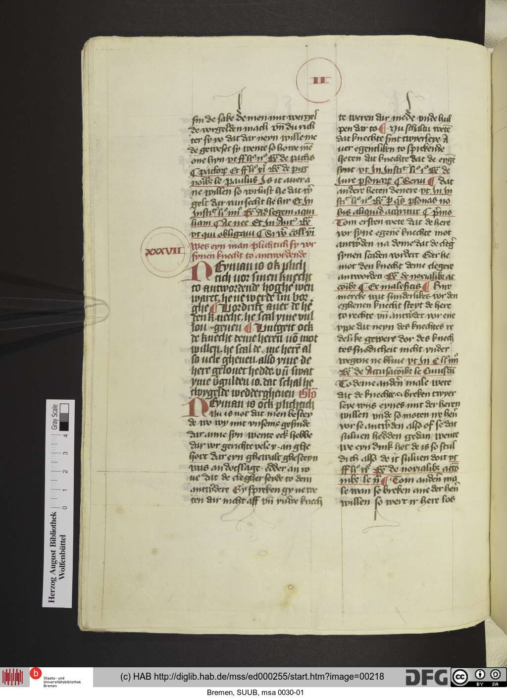 http://diglib.hab.de/mss/ed000255/00218.jpg