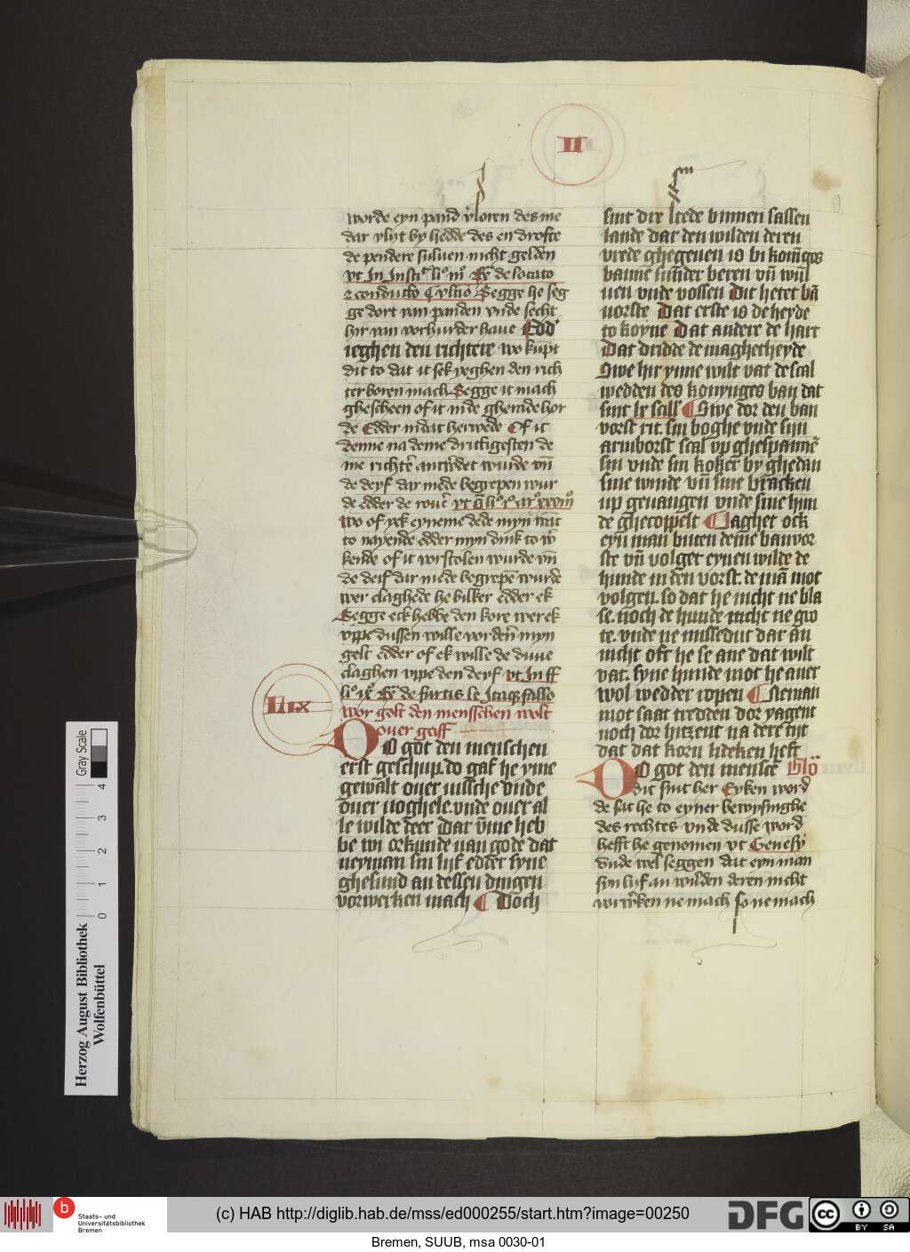 http://diglib.hab.de/mss/ed000255/00250.jpg