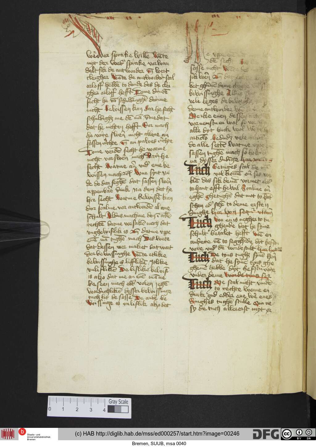 http://diglib.hab.de/mss/ed000257/00246.jpg