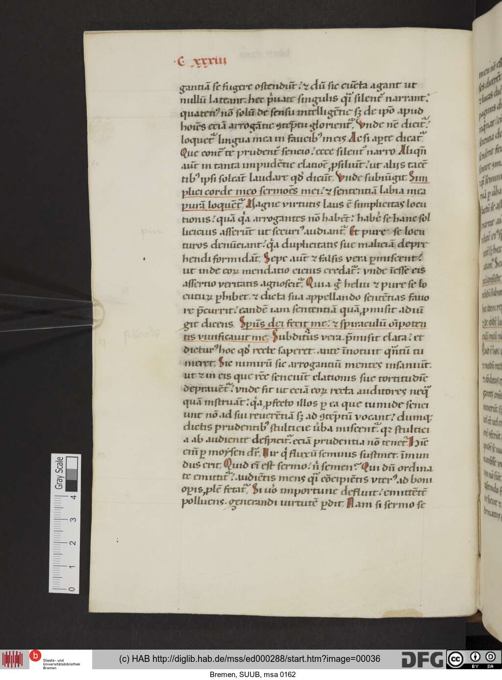 http://diglib.hab.de/mss/ed000288/00036.jpg