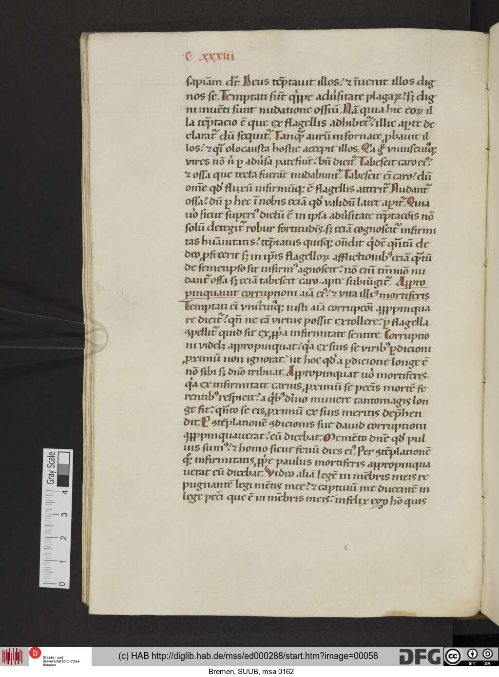 http://diglib.hab.de/mss/ed000288/00058.jpg