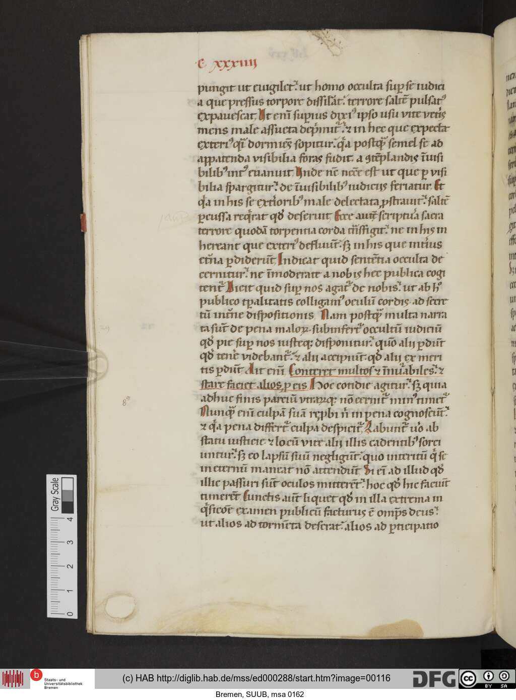 http://diglib.hab.de/mss/ed000288/00116.jpg