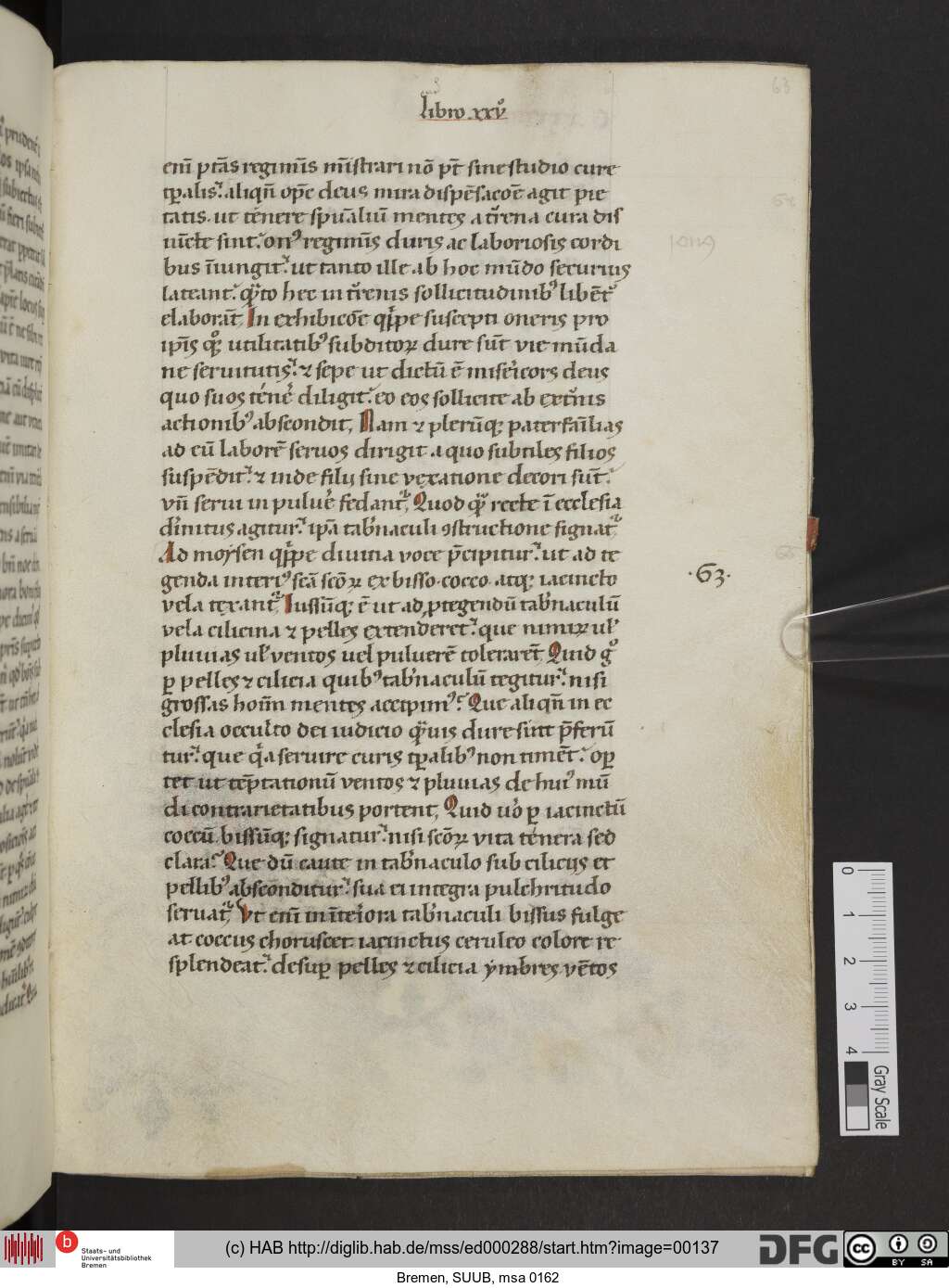 http://diglib.hab.de/mss/ed000288/00137.jpg