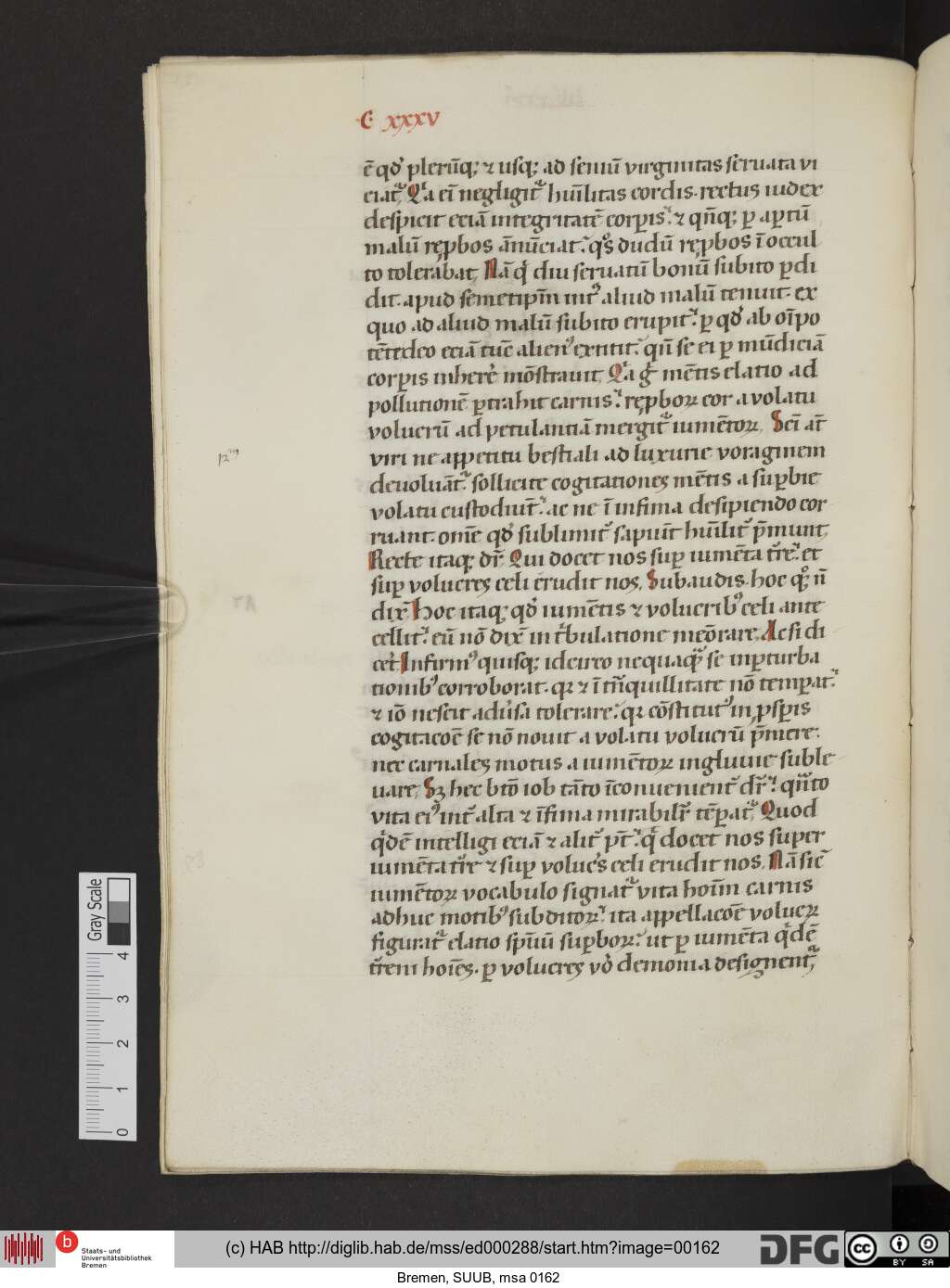 http://diglib.hab.de/mss/ed000288/00162.jpg