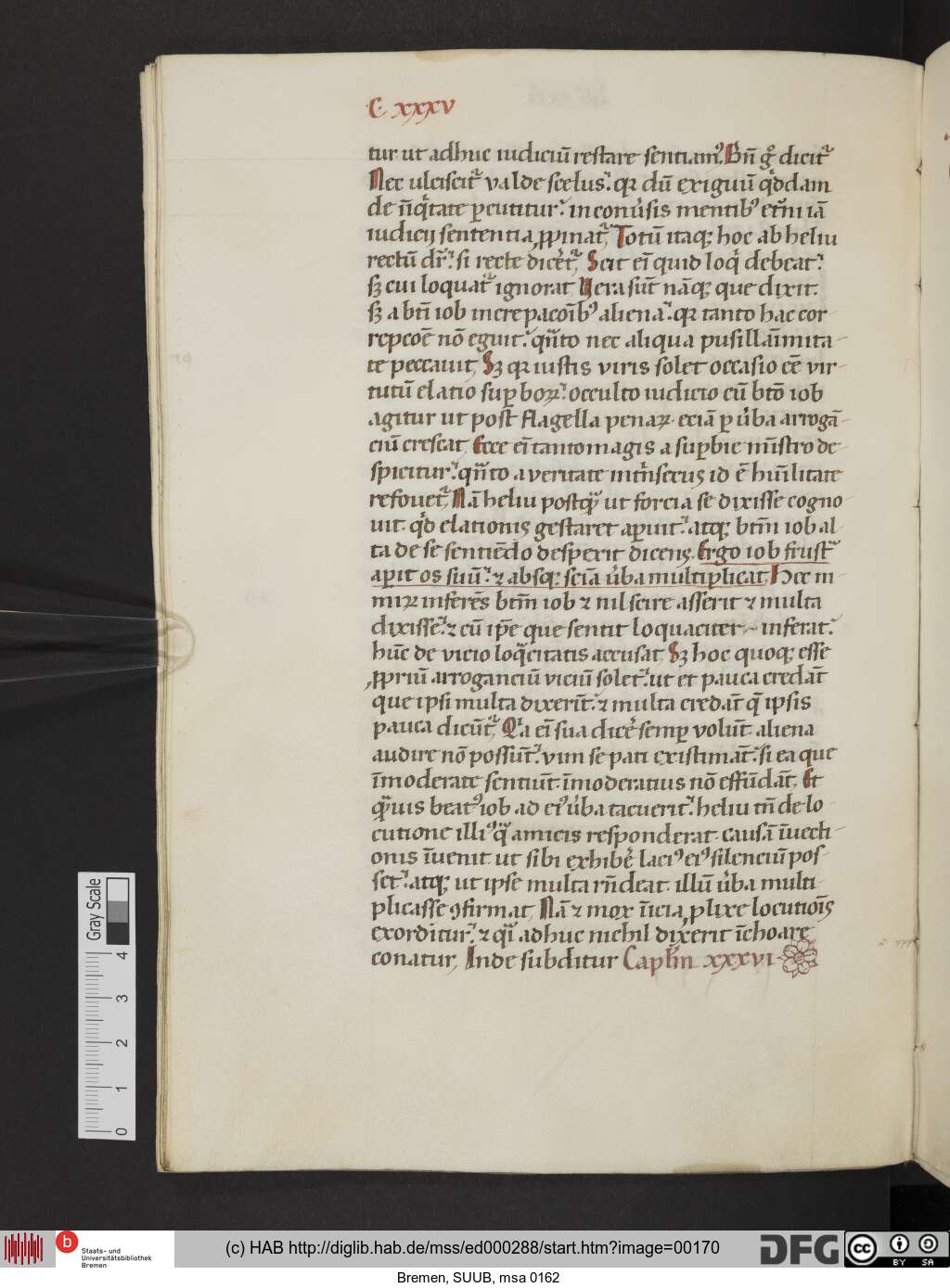 http://diglib.hab.de/mss/ed000288/00170.jpg