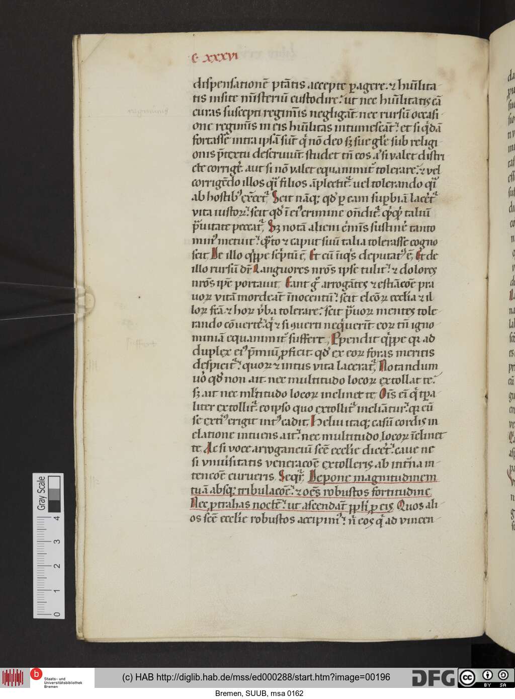 http://diglib.hab.de/mss/ed000288/00196.jpg