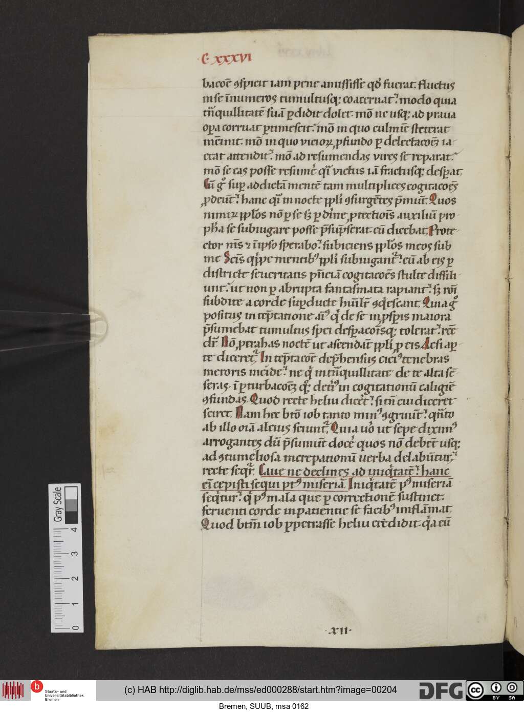 http://diglib.hab.de/mss/ed000288/00204.jpg