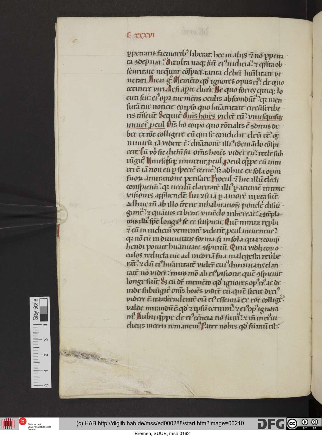 http://diglib.hab.de/mss/ed000288/00210.jpg