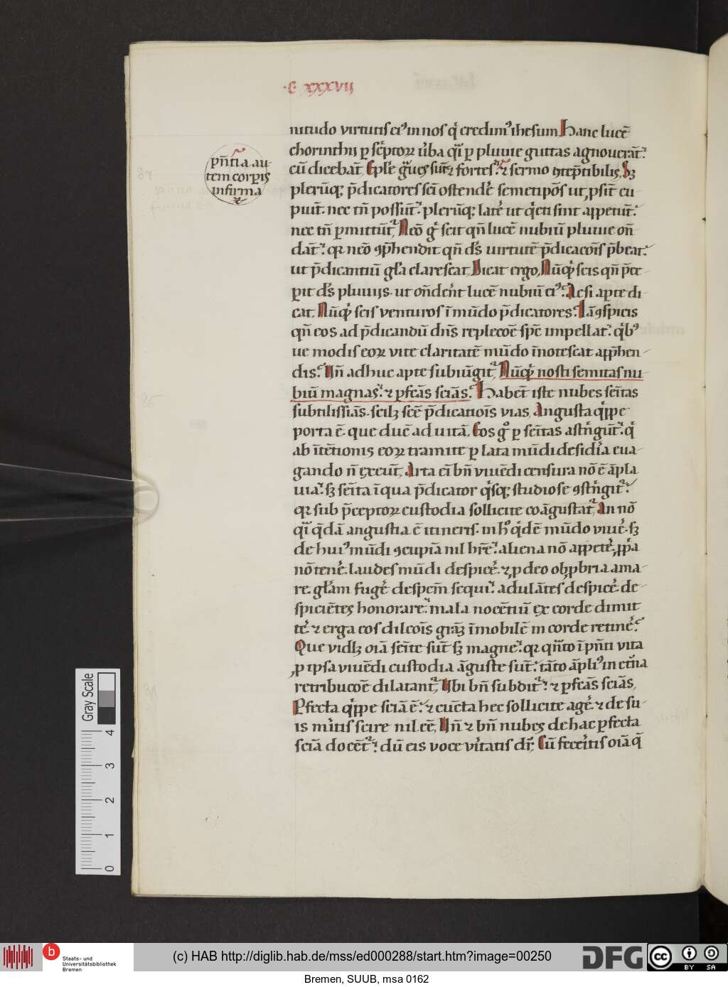 http://diglib.hab.de/mss/ed000288/00250.jpg