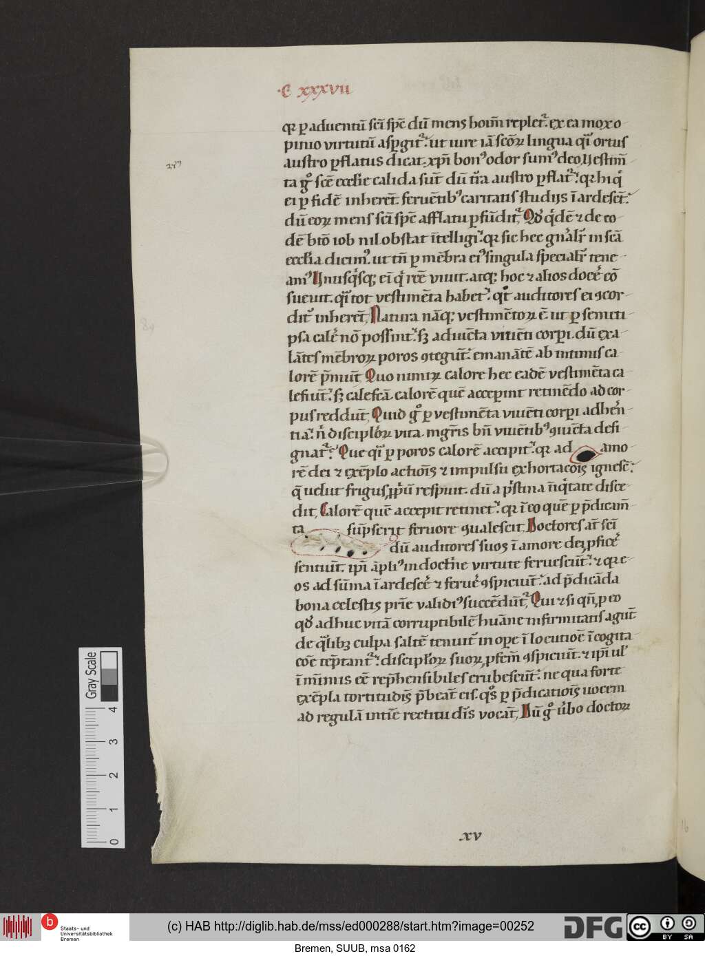 http://diglib.hab.de/mss/ed000288/00252.jpg