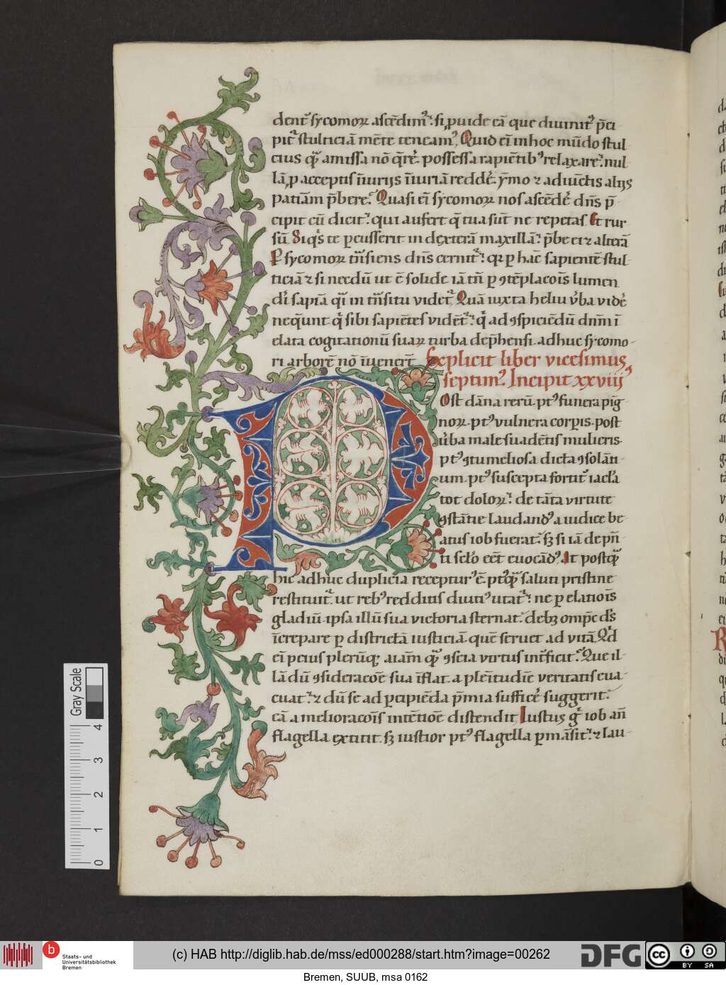 http://diglib.hab.de/mss/ed000288/00262.jpg
