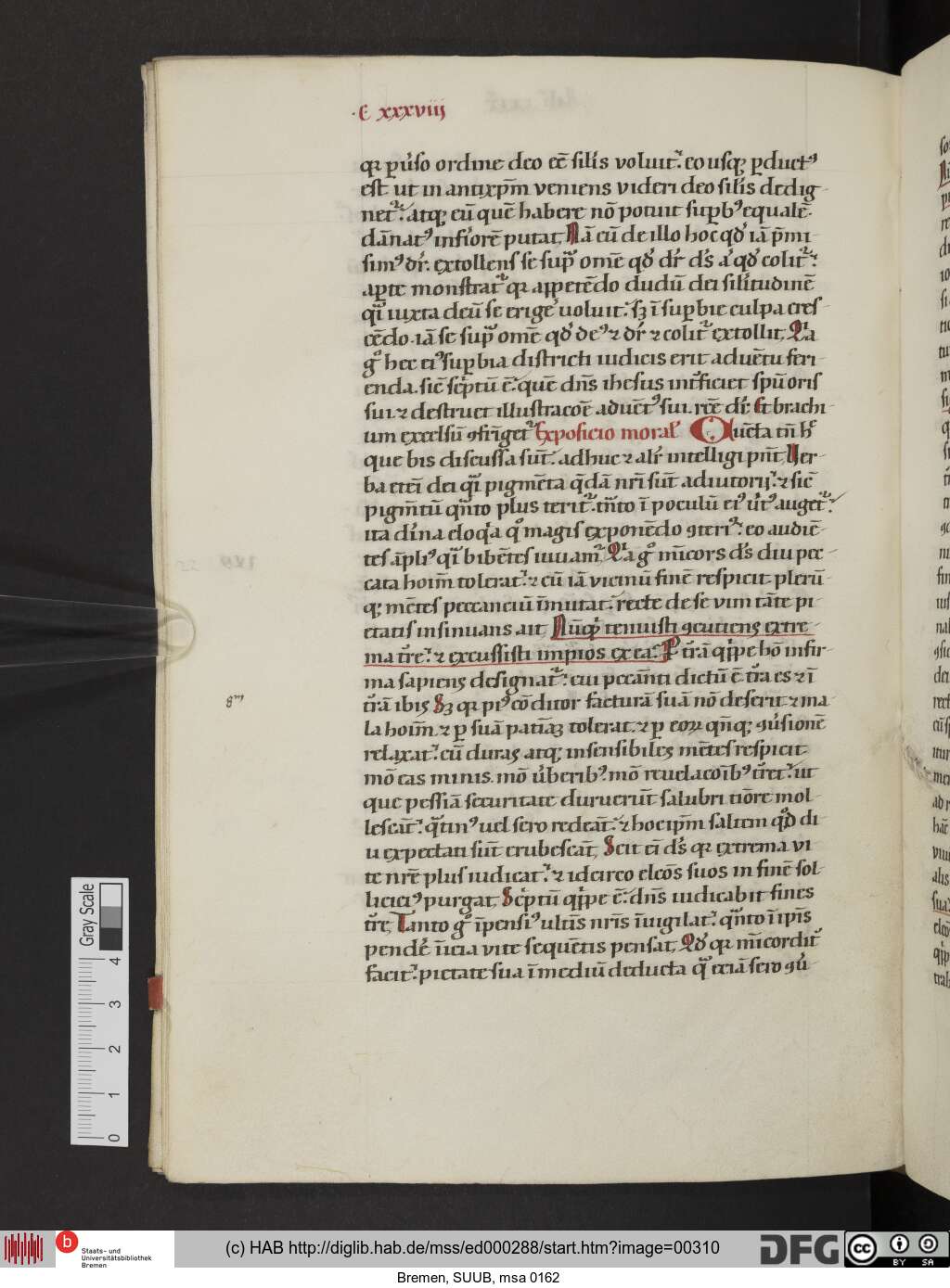 http://diglib.hab.de/mss/ed000288/00310.jpg