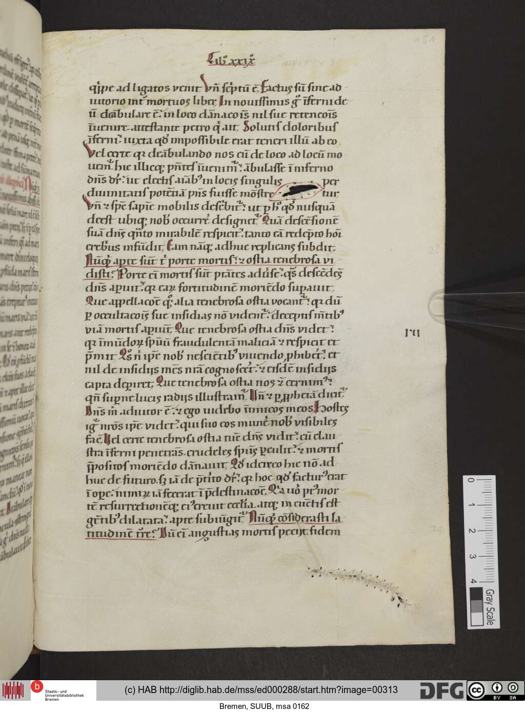 http://diglib.hab.de/mss/ed000288/00313.jpg