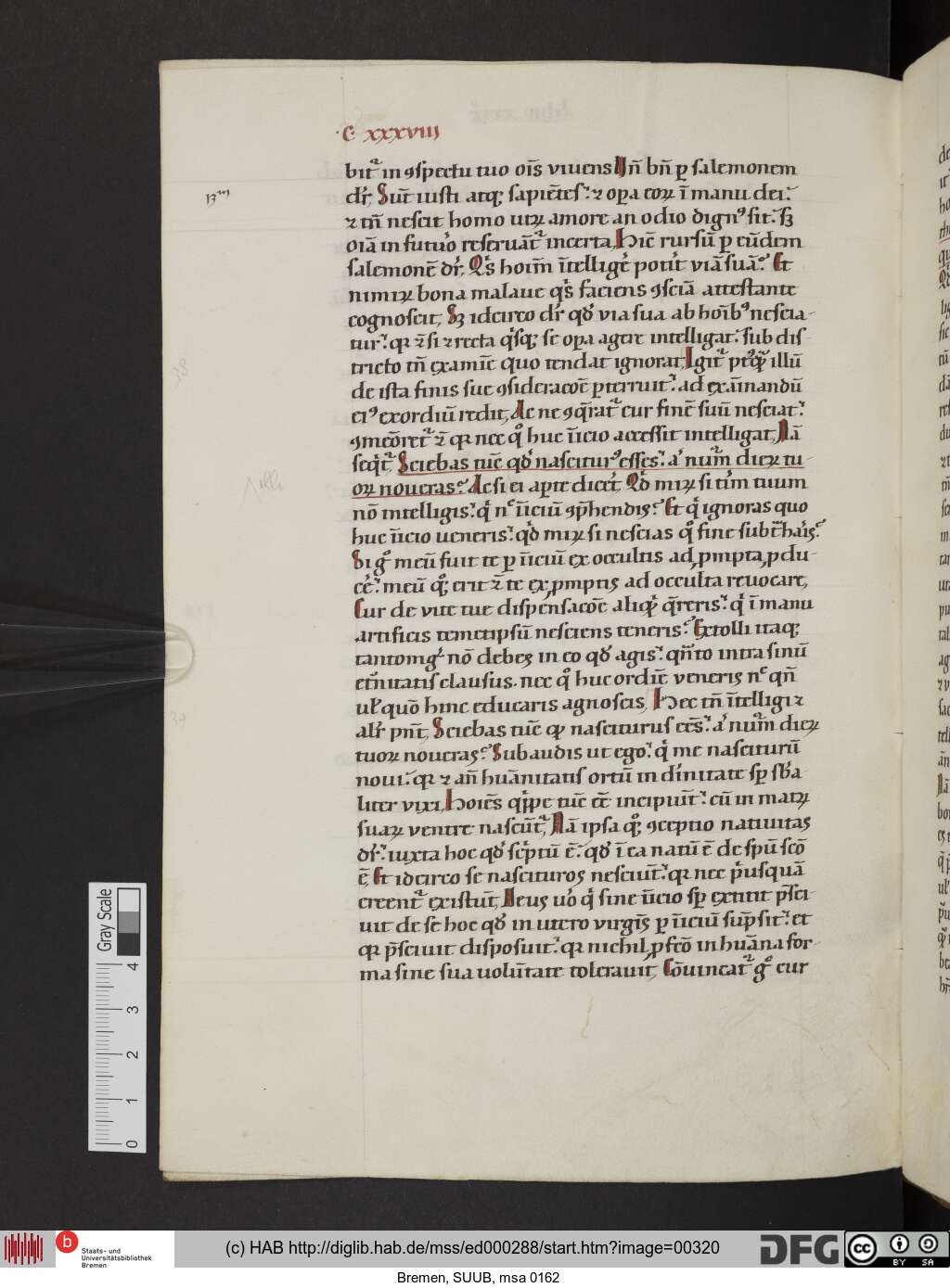http://diglib.hab.de/mss/ed000288/00320.jpg