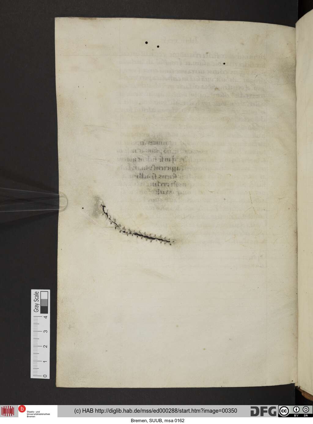 http://diglib.hab.de/mss/ed000288/00350.jpg