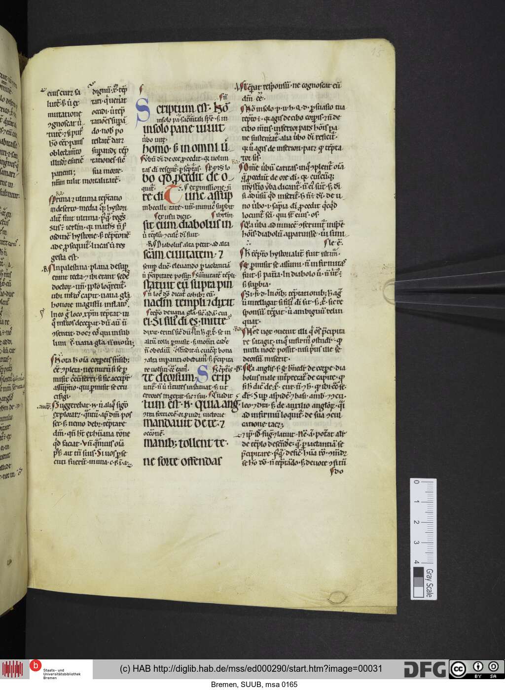 http://diglib.hab.de/mss/ed000290/00031.jpg