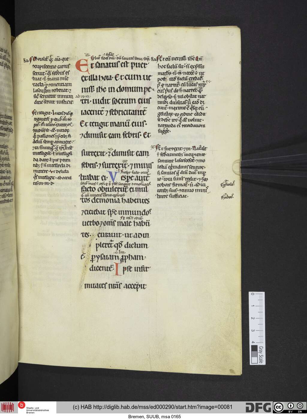 http://diglib.hab.de/mss/ed000290/00081.jpg