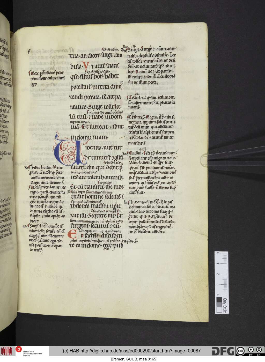 http://diglib.hab.de/mss/ed000290/00087.jpg