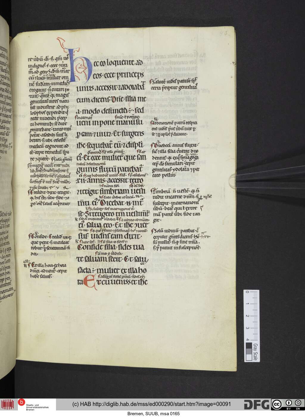 http://diglib.hab.de/mss/ed000290/00091.jpg