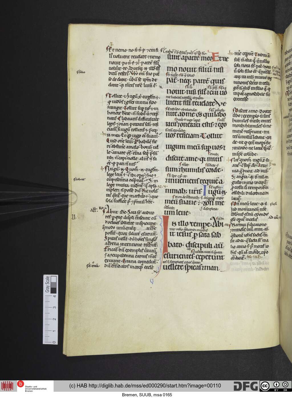 http://diglib.hab.de/mss/ed000290/00110.jpg