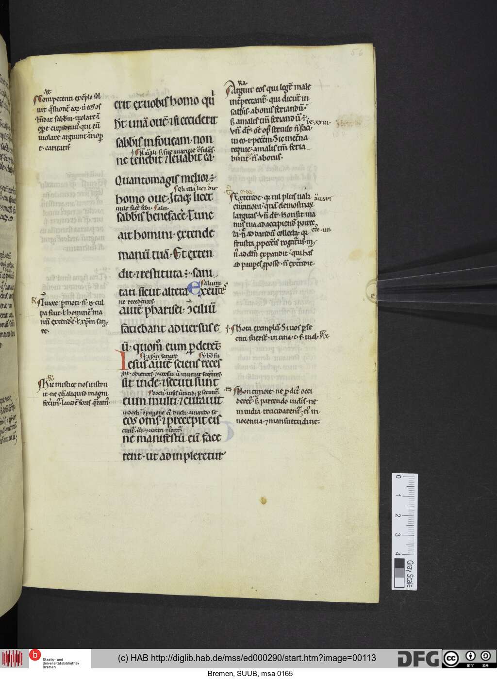 http://diglib.hab.de/mss/ed000290/00113.jpg