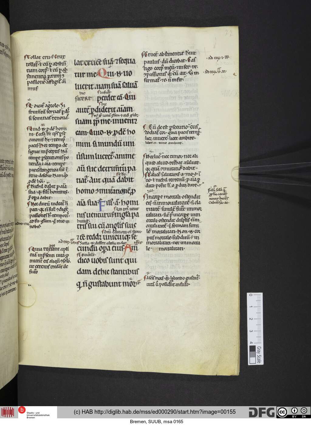 http://diglib.hab.de/mss/ed000290/00155.jpg