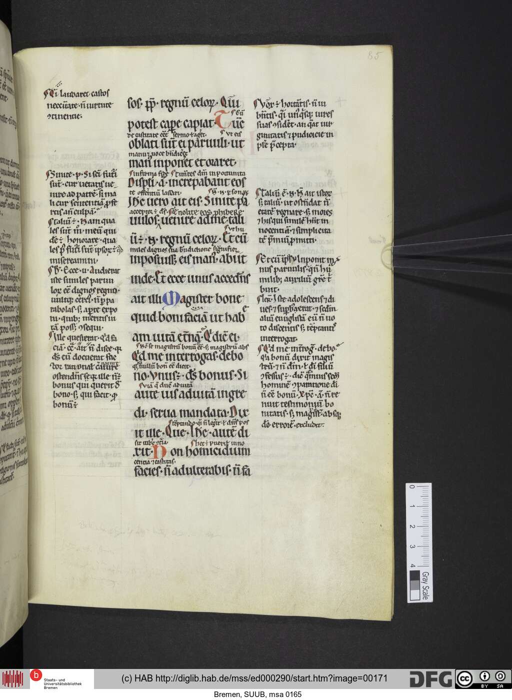 http://diglib.hab.de/mss/ed000290/00171.jpg