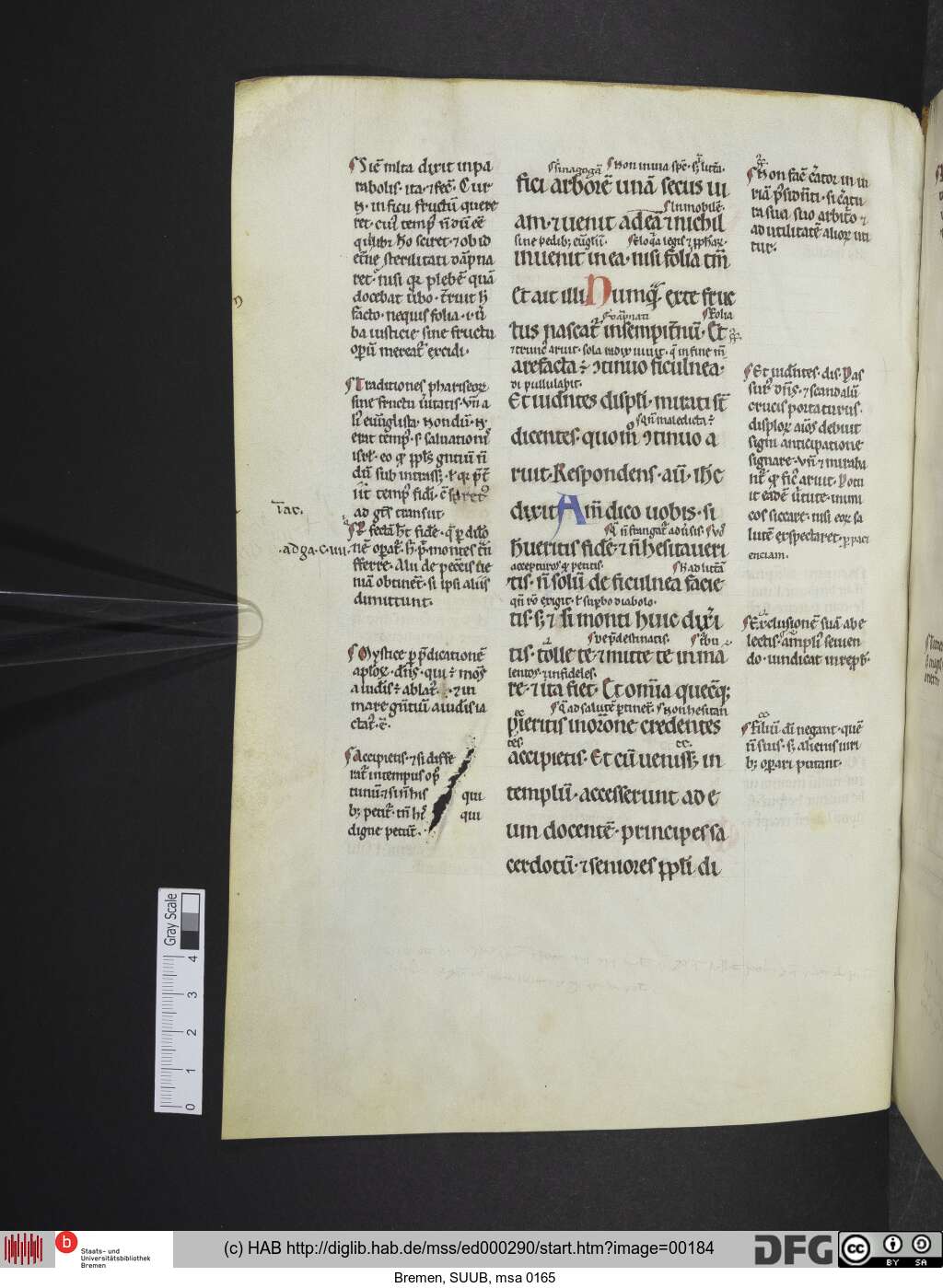 http://diglib.hab.de/mss/ed000290/00184.jpg