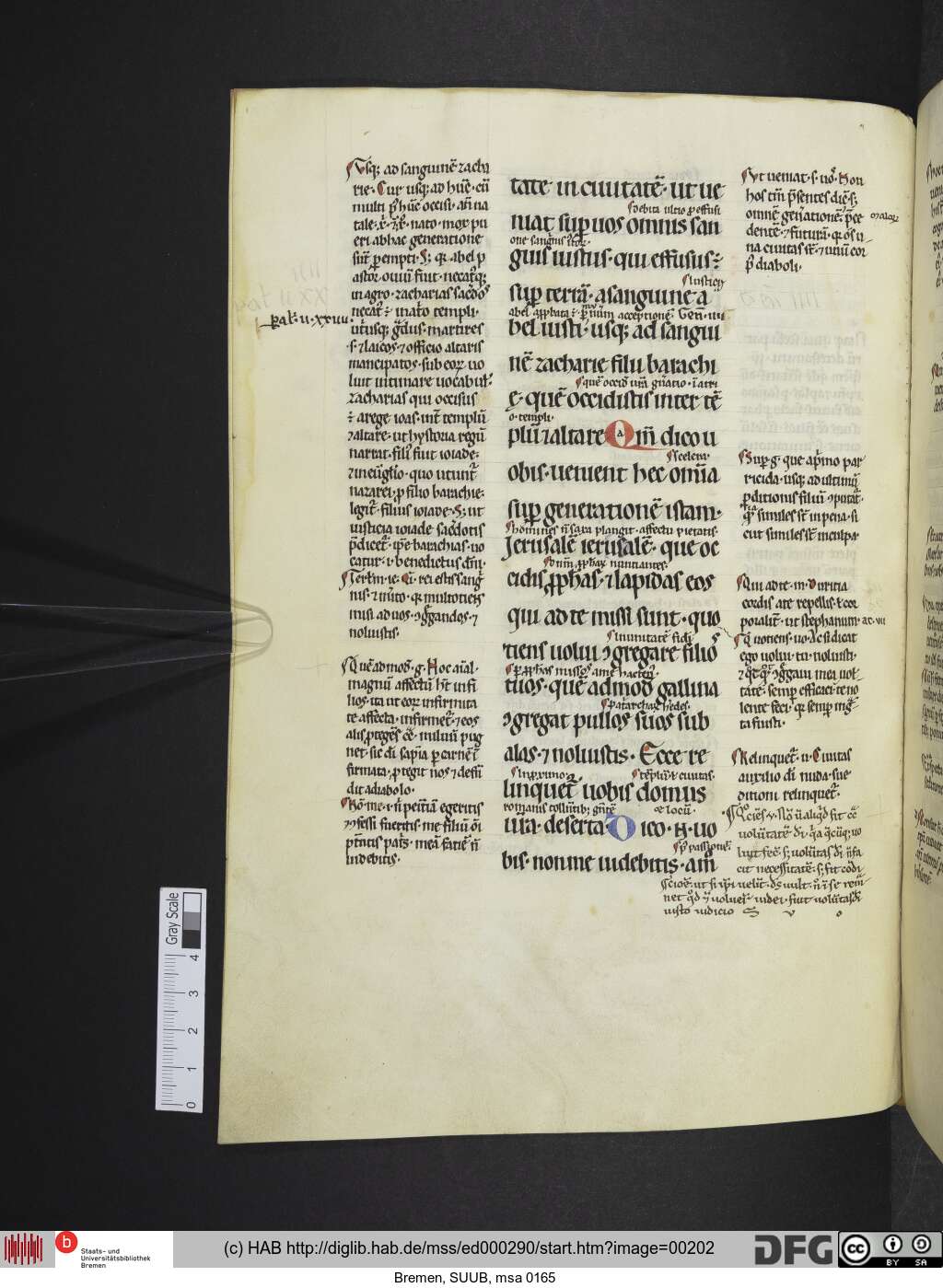 http://diglib.hab.de/mss/ed000290/00202.jpg