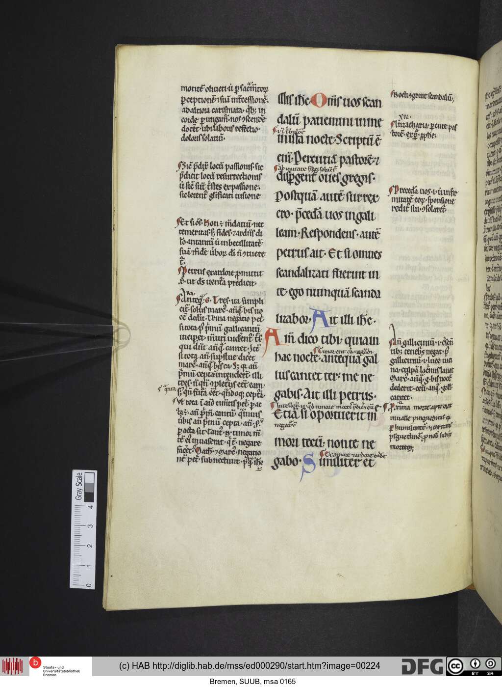 http://diglib.hab.de/mss/ed000290/00224.jpg
