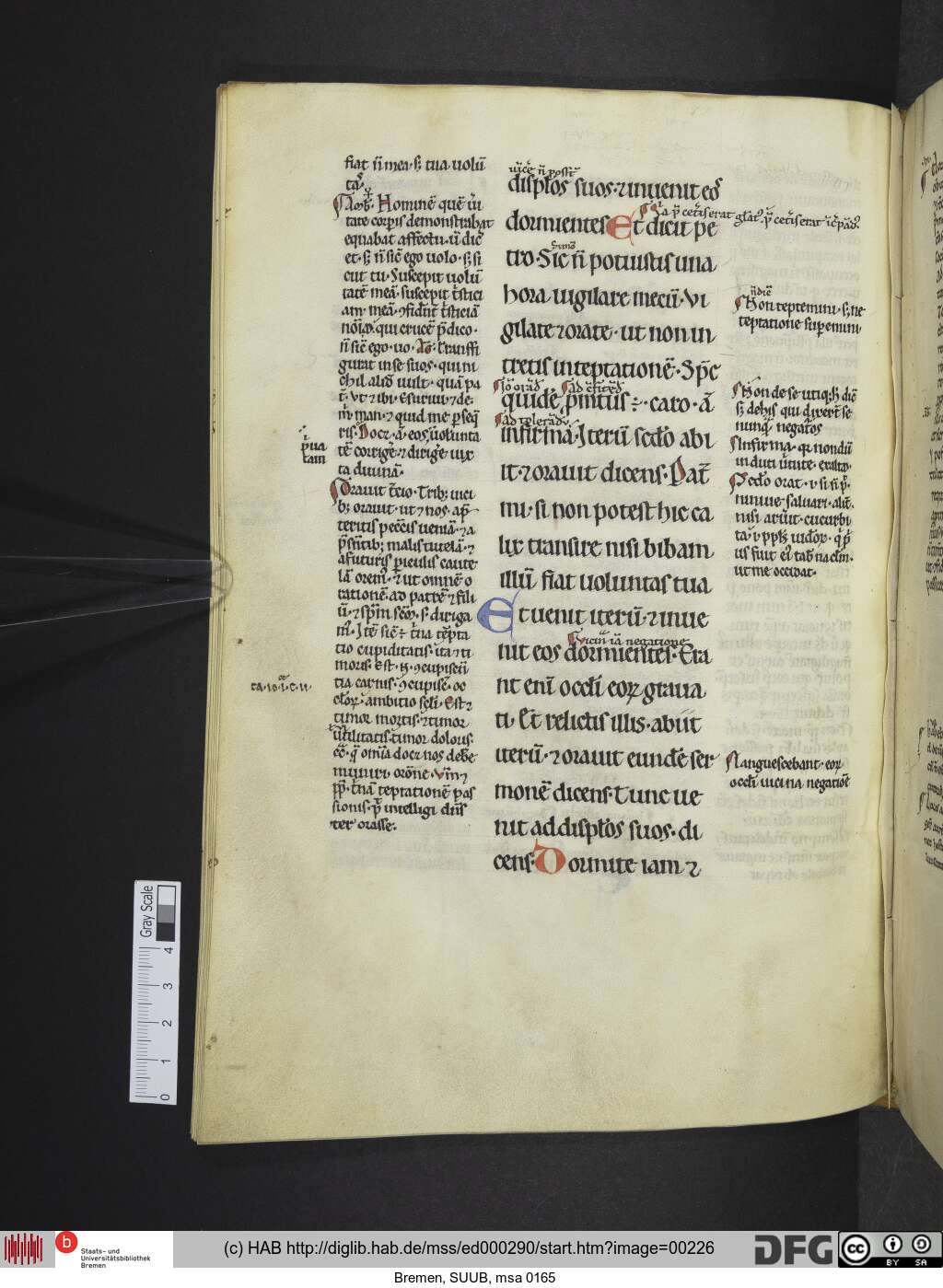 http://diglib.hab.de/mss/ed000290/00226.jpg