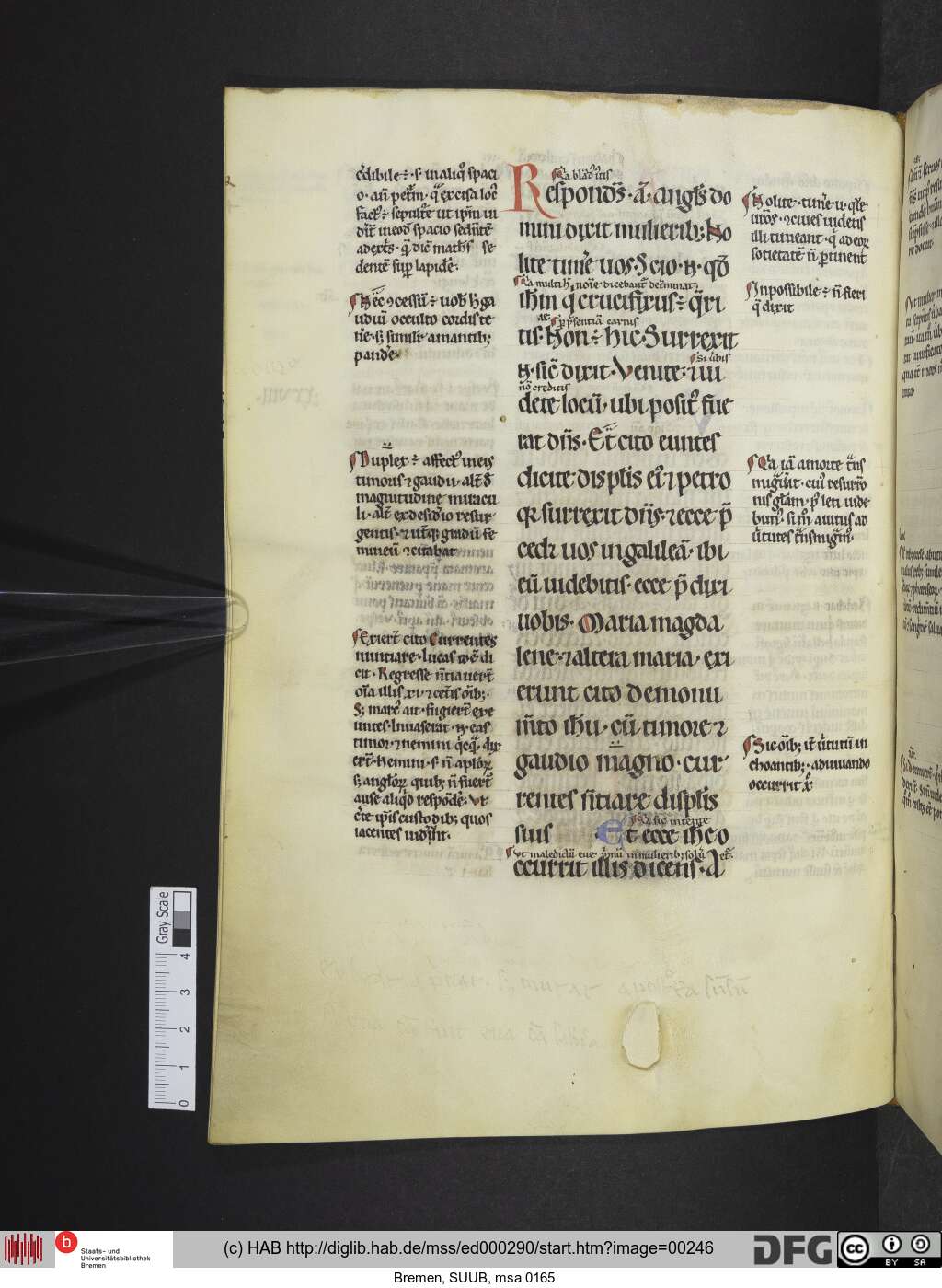 http://diglib.hab.de/mss/ed000290/00246.jpg