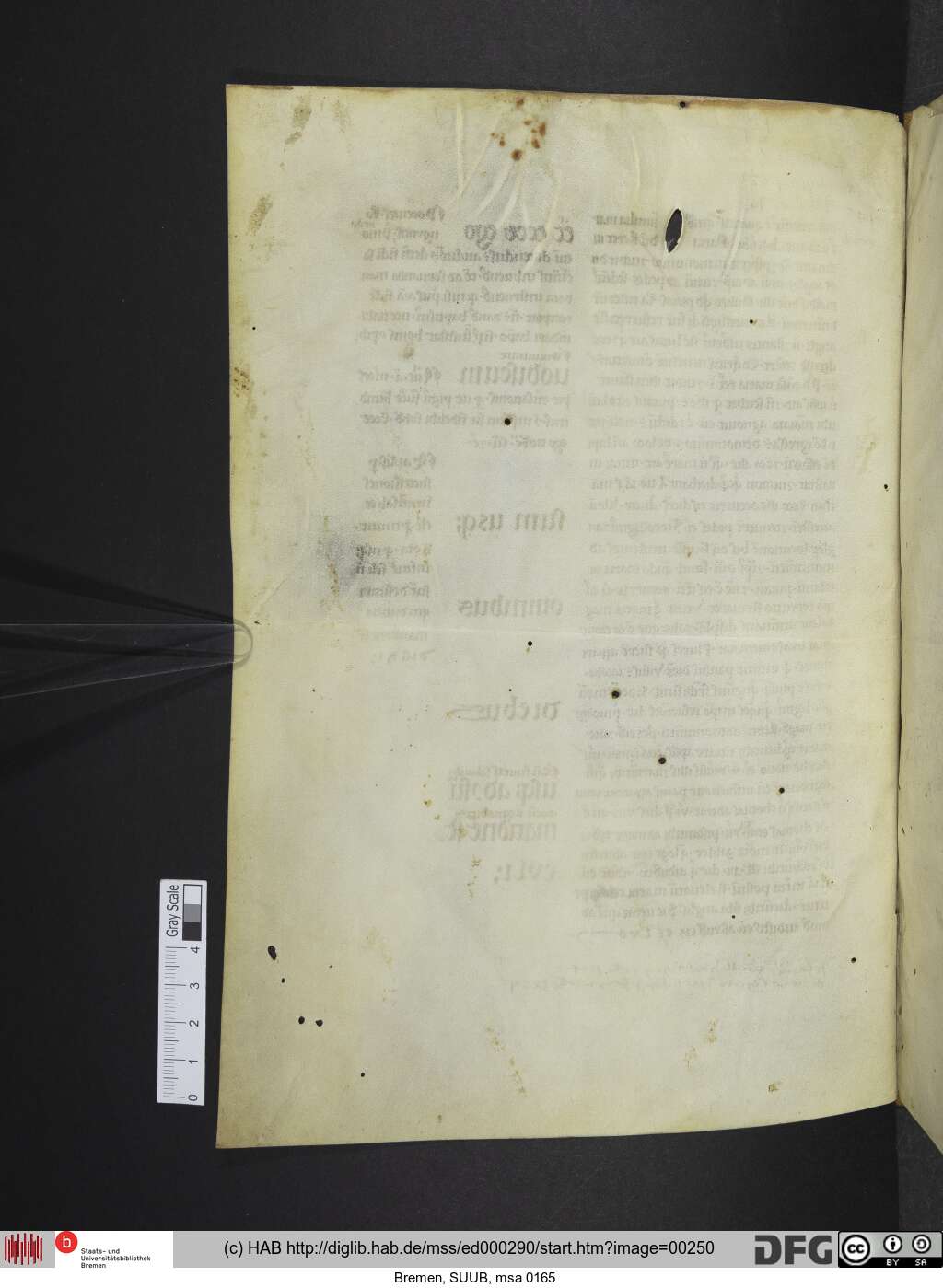 http://diglib.hab.de/mss/ed000290/00250.jpg