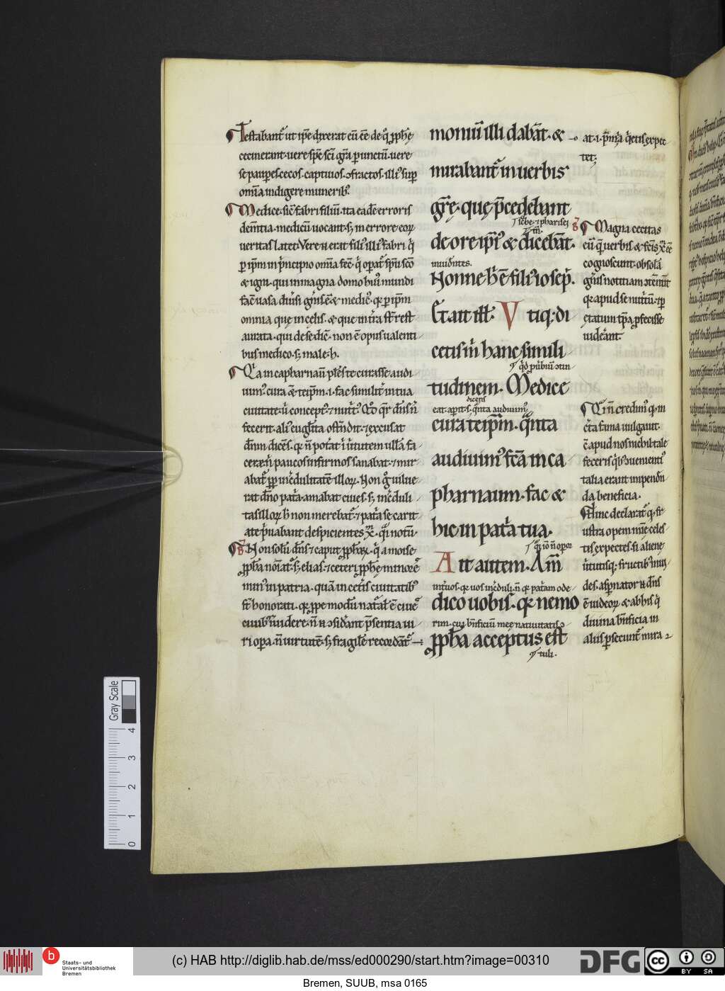 http://diglib.hab.de/mss/ed000290/00310.jpg