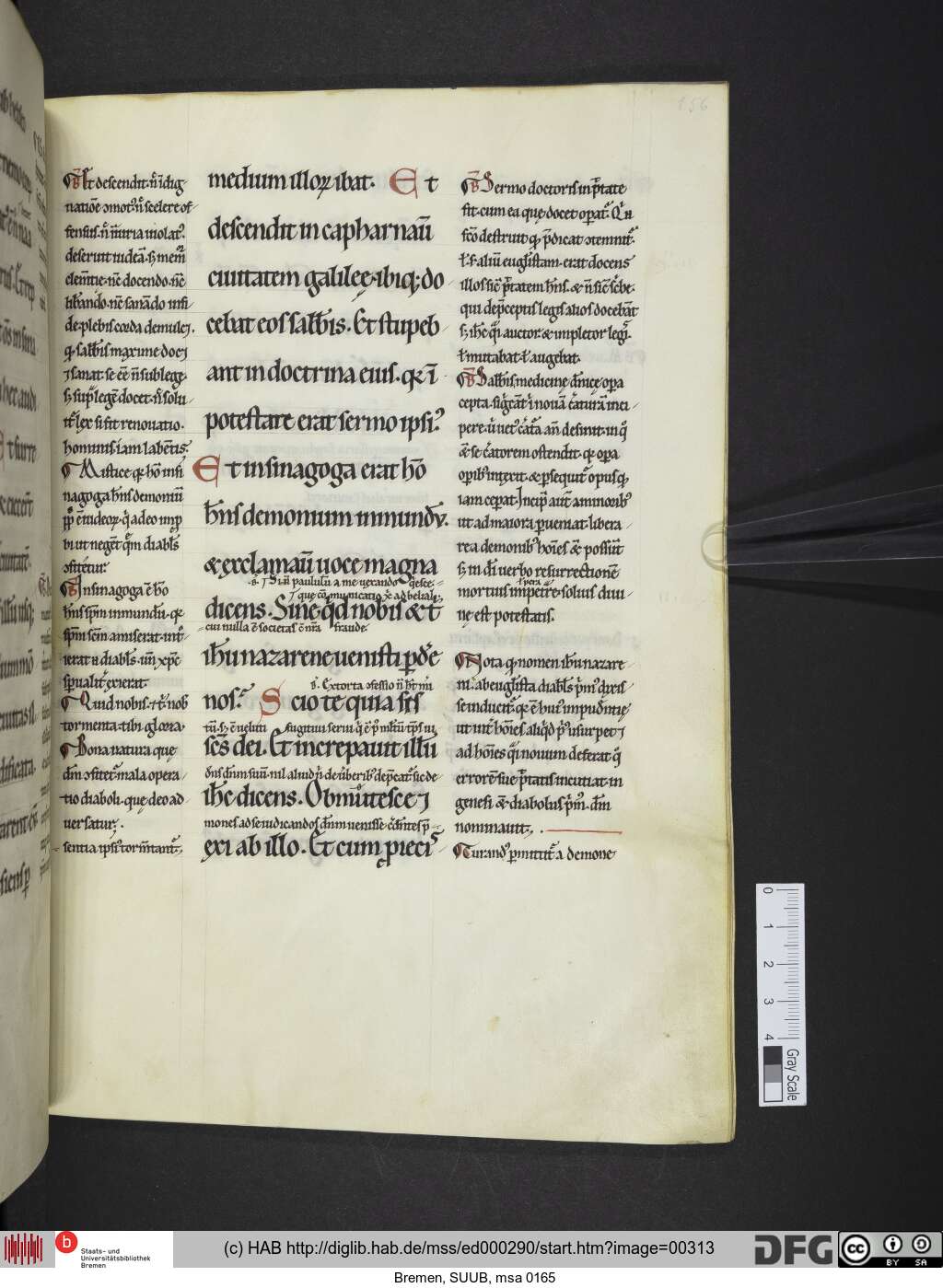 http://diglib.hab.de/mss/ed000290/00313.jpg