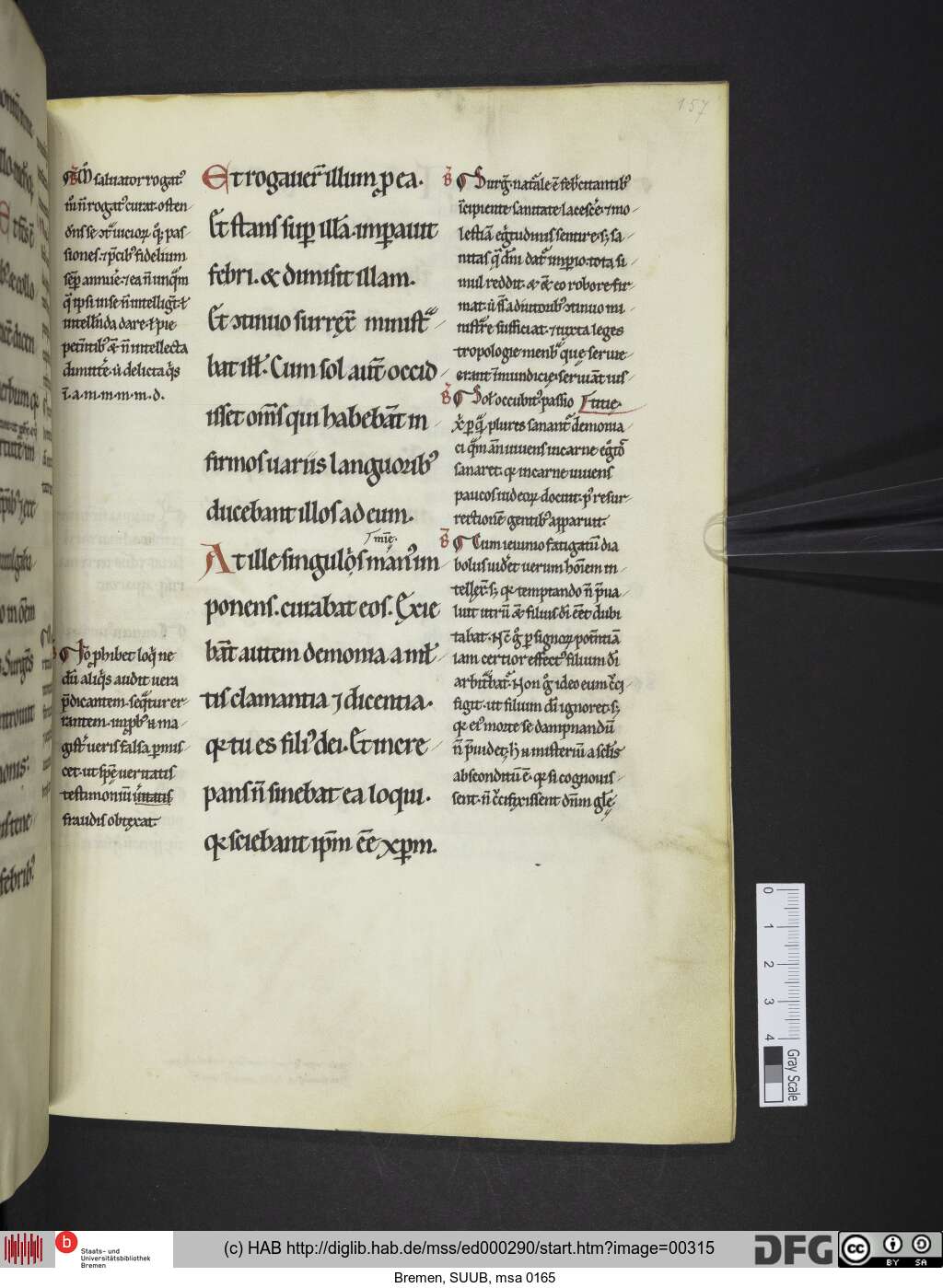 http://diglib.hab.de/mss/ed000290/00315.jpg