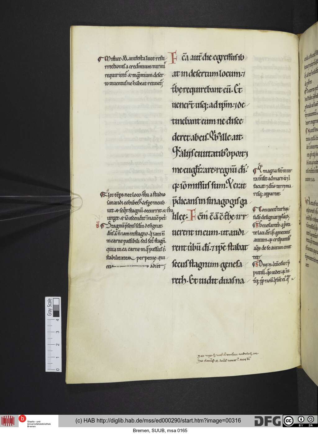 http://diglib.hab.de/mss/ed000290/00316.jpg