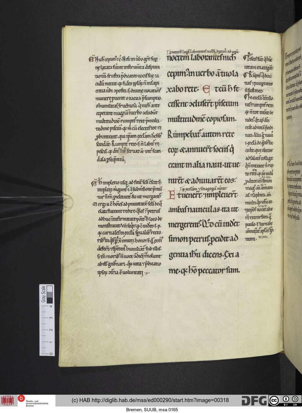 http://diglib.hab.de/mss/ed000290/00318.jpg