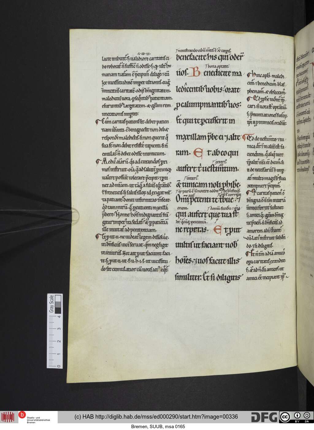 http://diglib.hab.de/mss/ed000290/00336.jpg